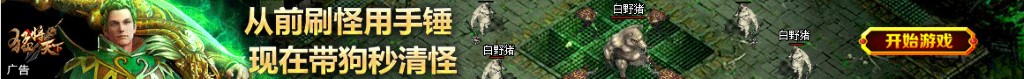 d开头的牌子衣服